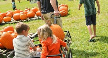 Fall-ish Fun