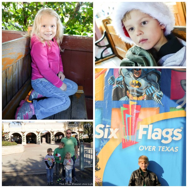 Six Flags Collage