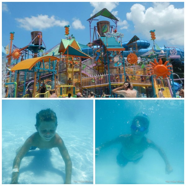 Water Park Collage2